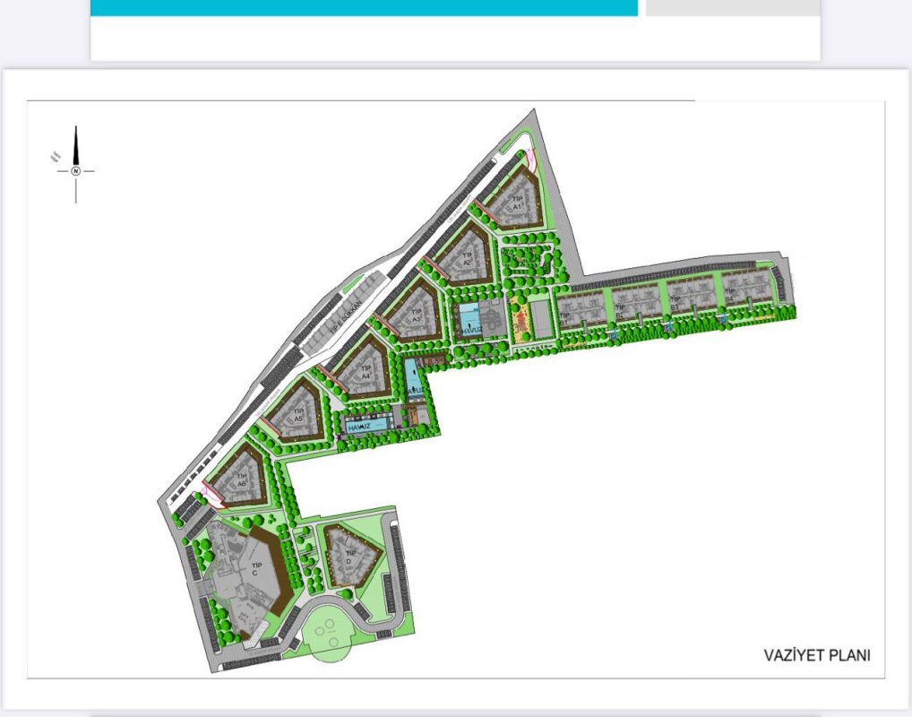 photo_2025-06-11 11.29.30